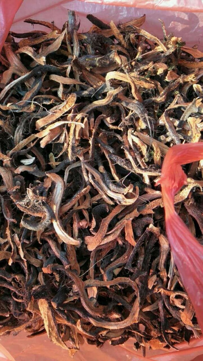 骨碎补骨碎补骨碎补骨碎补