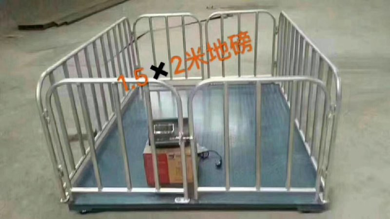 【精品】小型家用地磅全国发货，养殖户专用，质优价廉