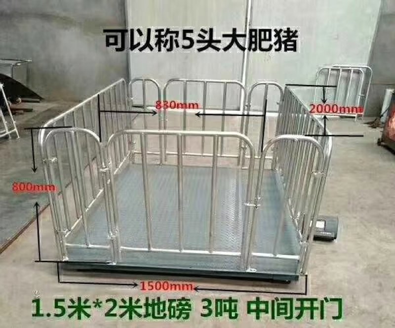 【精品】小型家用地磅全国发货，养殖户专用，质优价廉