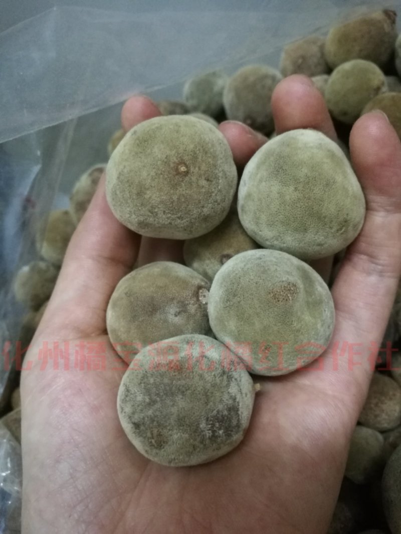 化橘红果批发正毛化橘红干果桔红产地直发