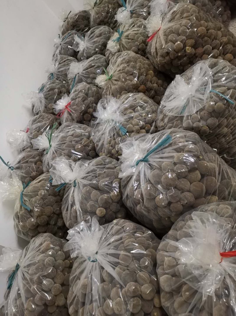 化橘红果批发正毛化橘红干果桔红产地直发