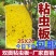 【包邮】双面特黏粘虫板、诱虫板进口胶水覆纸加厚升级版