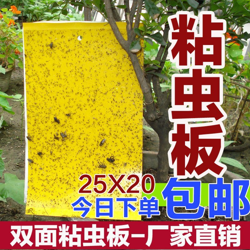 【包邮】双面特黏粘虫板、诱虫板进口胶水覆纸加厚升级版