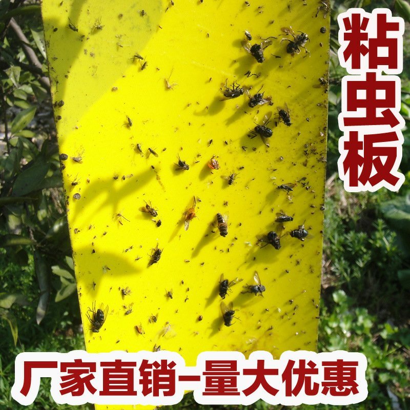 【包邮】双面特黏粘虫板、诱虫板进口胶水覆纸加厚升级版