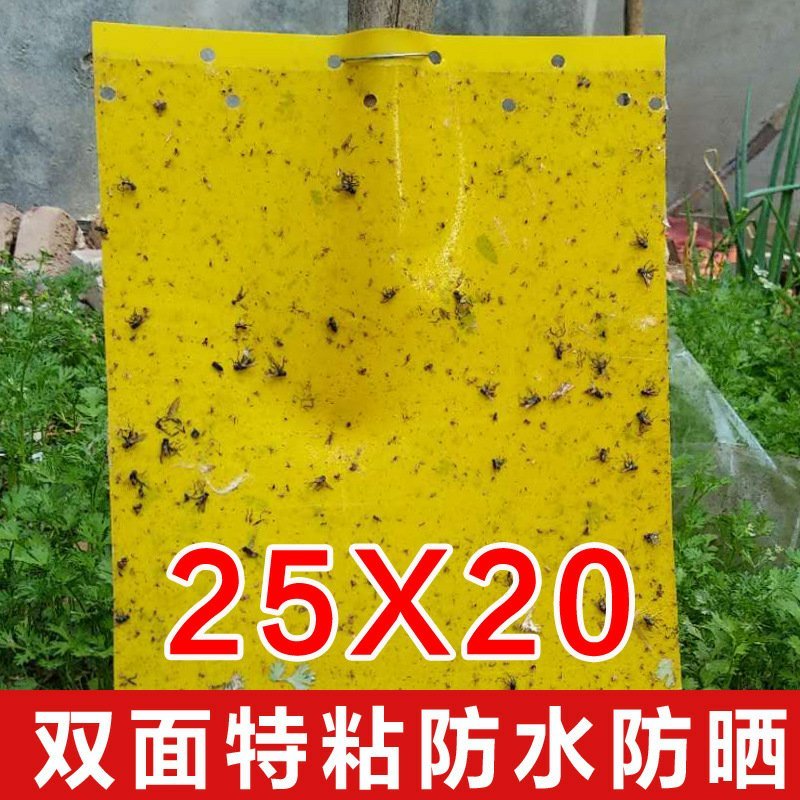 【包邮】双面特黏粘虫板、诱虫板进口胶水覆纸加厚升级版