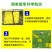【包邮】双面特黏粘虫板、诱虫板进口胶水覆纸加厚升级版