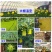 【包邮】双面特黏粘虫板、诱虫板进口胶水覆纸加厚升级版