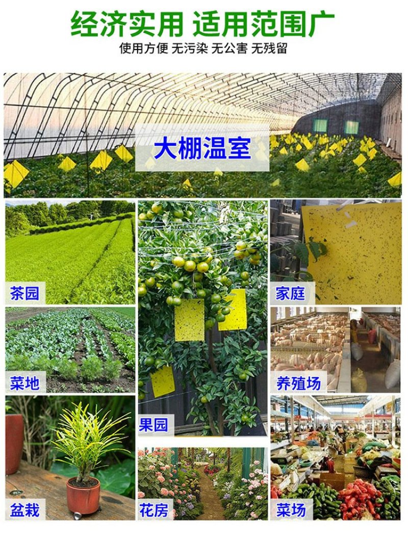【包邮】双面特黏粘虫板、诱虫板进口胶水覆纸加厚升级版