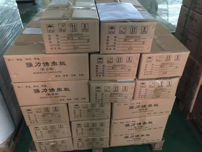 【包邮】双面特黏粘虫板、诱虫板进口胶水覆纸加厚升级版