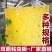 【包邮】双面特黏粘虫板、诱虫板进口胶水覆纸加厚升级版