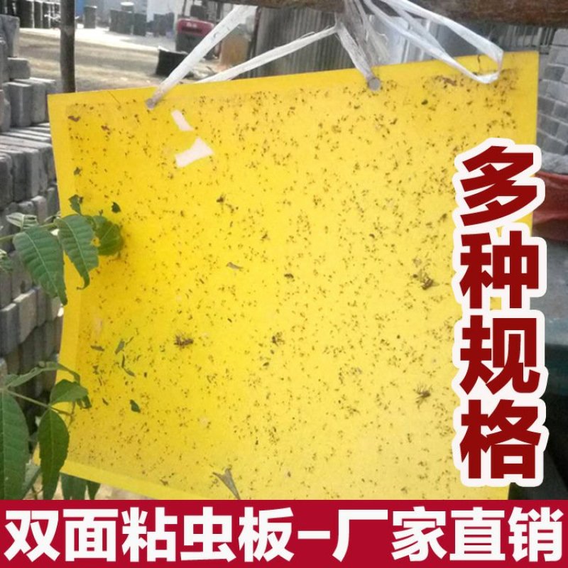 【包邮】双面特黏粘虫板、诱虫板进口胶水覆纸加厚升级版