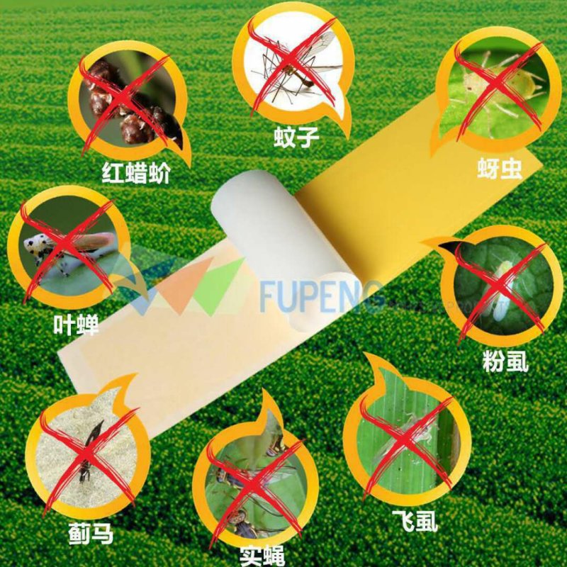 【包邮】双面特黏粘虫板、诱虫板进口胶水覆纸加厚升级版