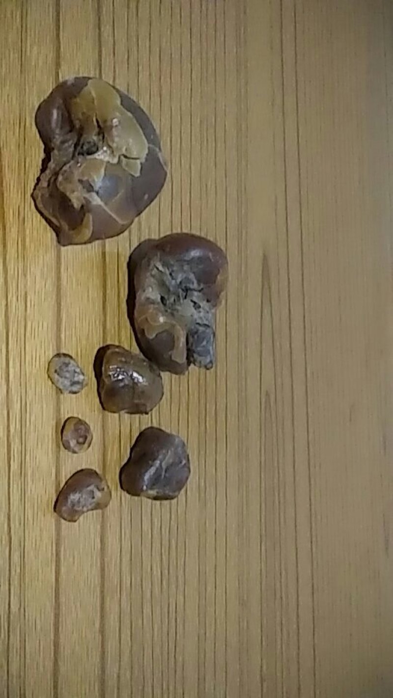 鸡宝出售自家养3年的老母鸡