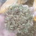 野生金银花