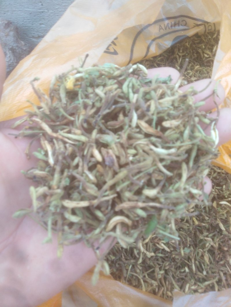 野生金银花