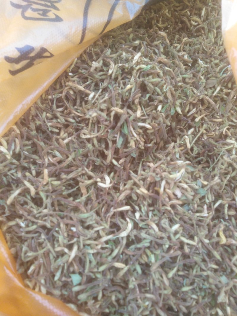 野生金银花