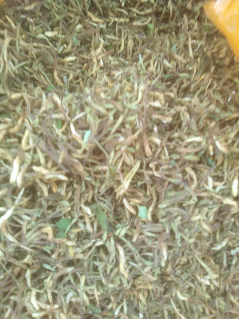 野生金银花