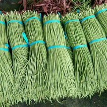 万亩大棚，长豆角己大量上市