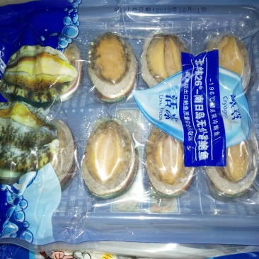 鲍鱼