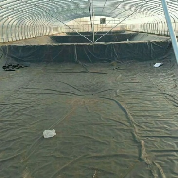 水产养殖专用防渗膜水产基地专用膜，做好的养殖场地应用好的