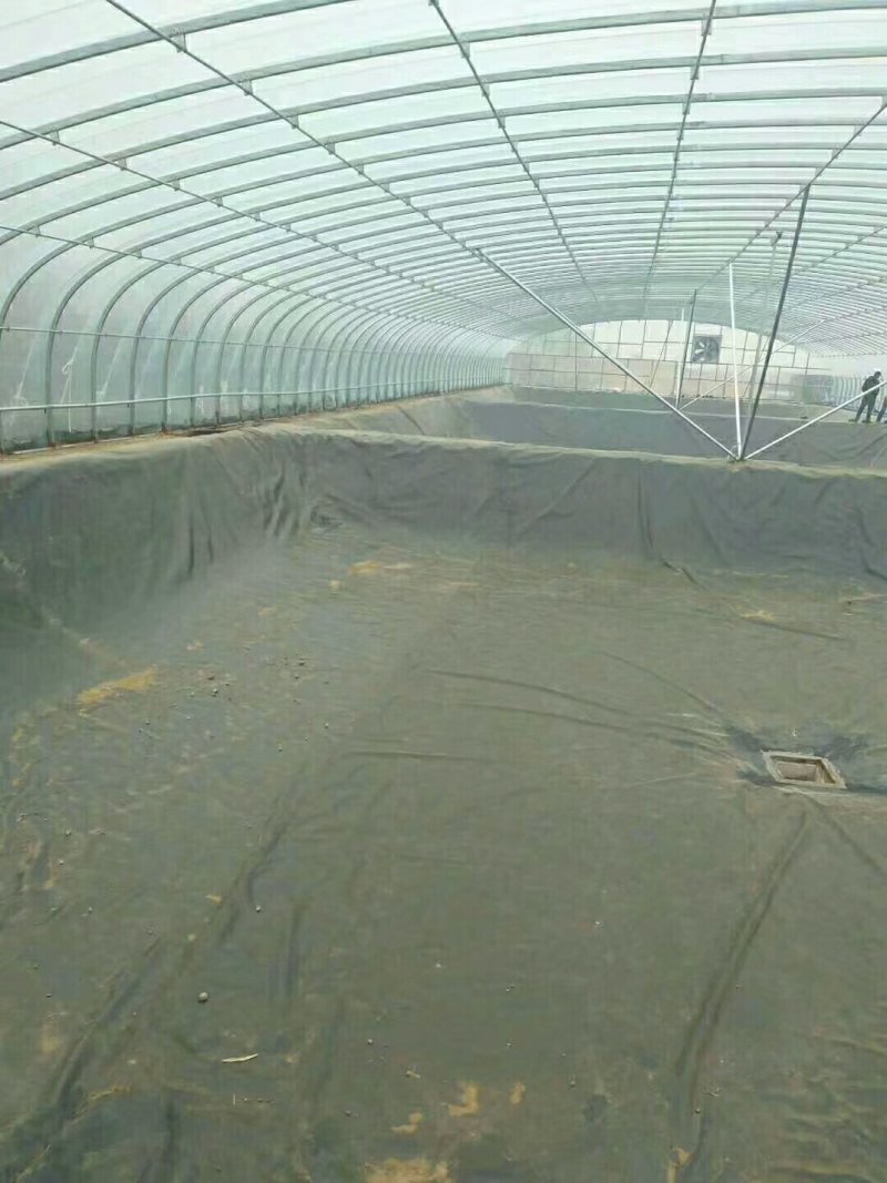 水产养殖专用防渗膜水产基地专用膜，做好的养殖场地应用好的