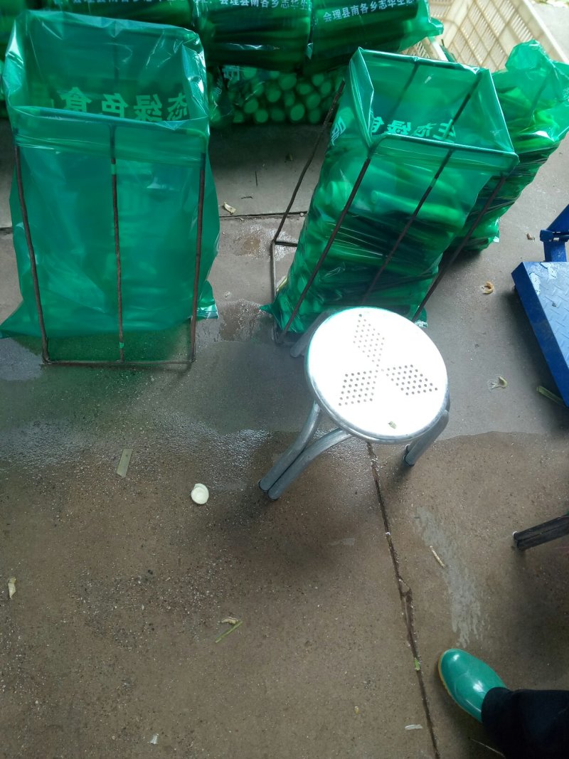 茭白