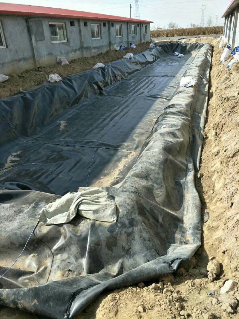养殖场专用防渗膜针对养殖基地专业生产和施工！