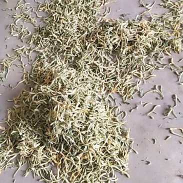 金银花