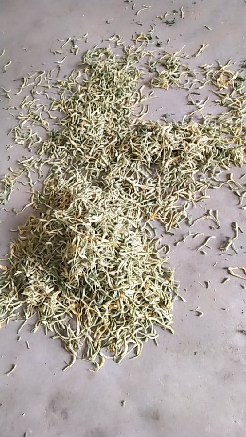 金银花