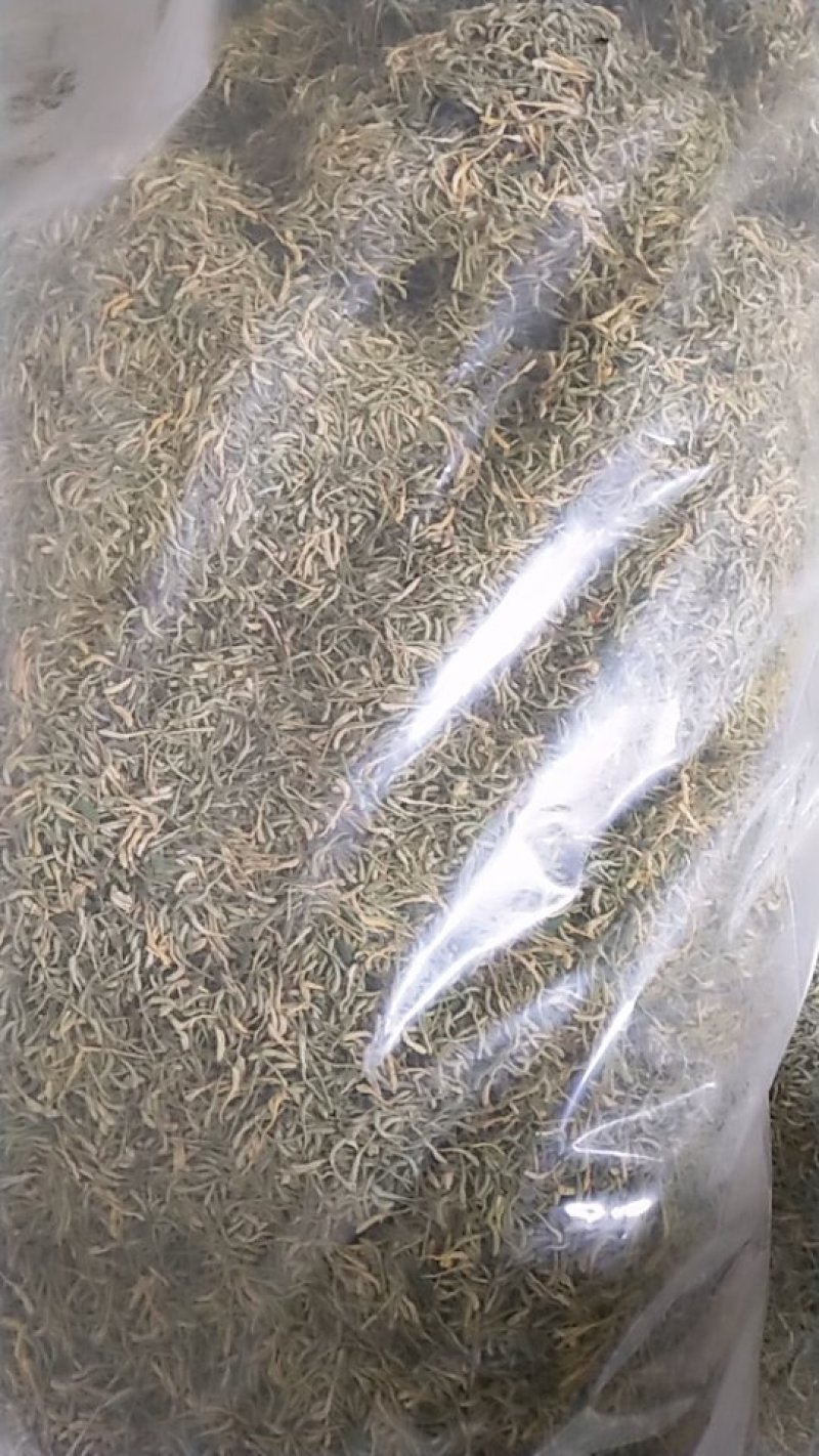 金银花
