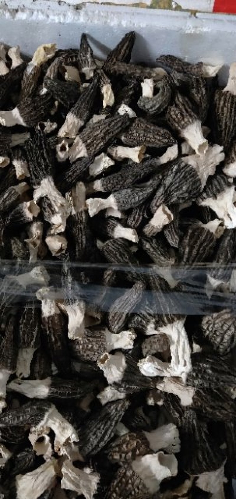 羊肚菌精品货