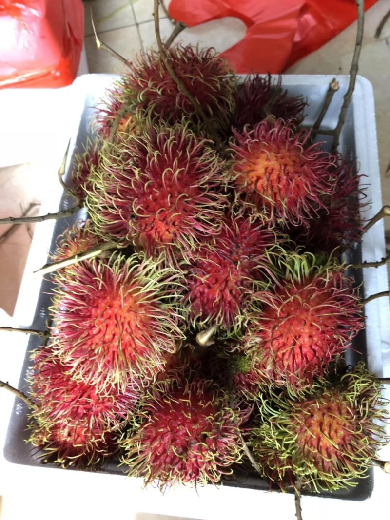 泰国🇹🇭进口红毛丹