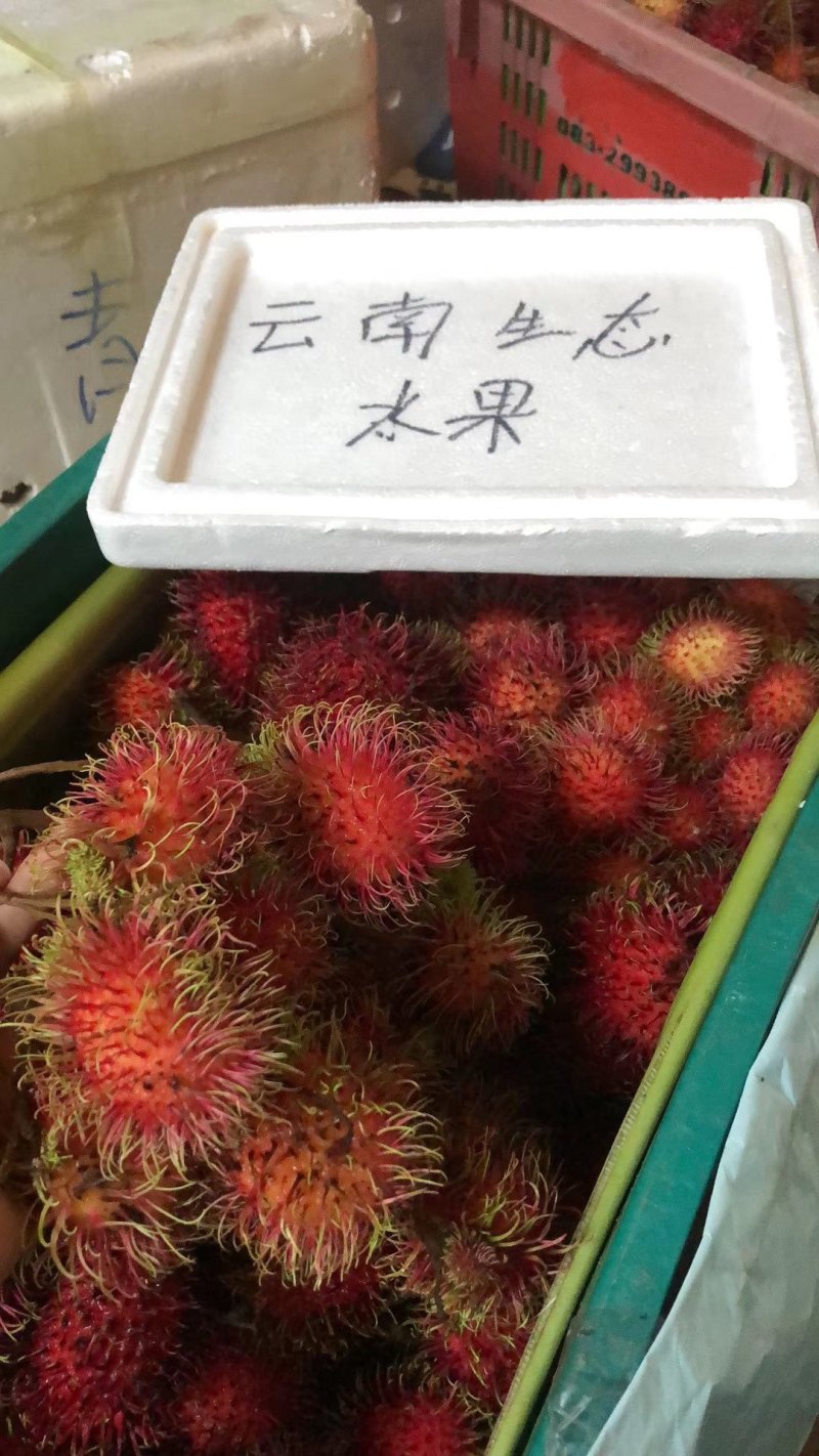 泰国🇹🇭进口红毛丹