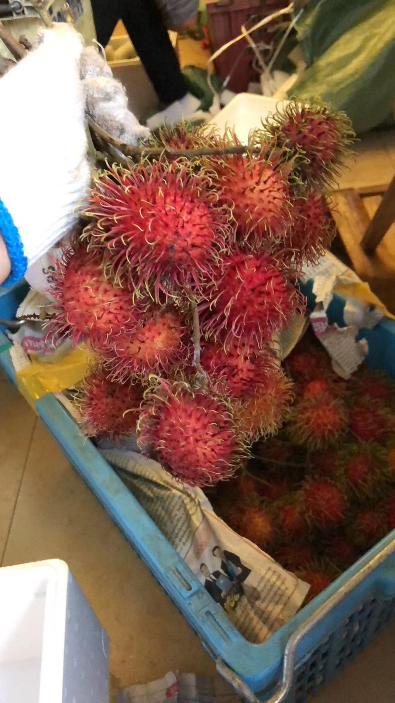 泰国🇹🇭进口红毛丹