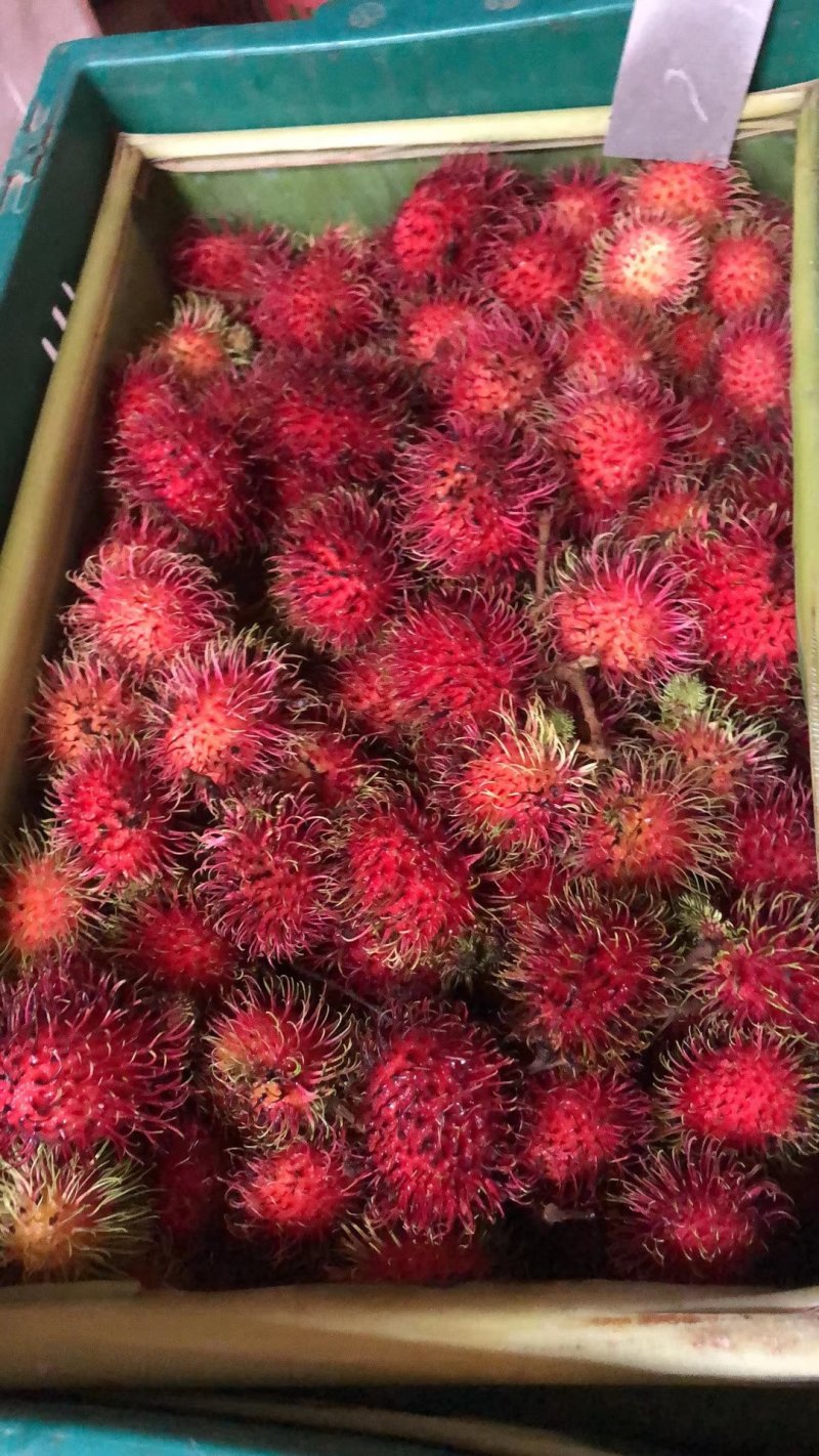 泰国🇹🇭进口红毛丹
