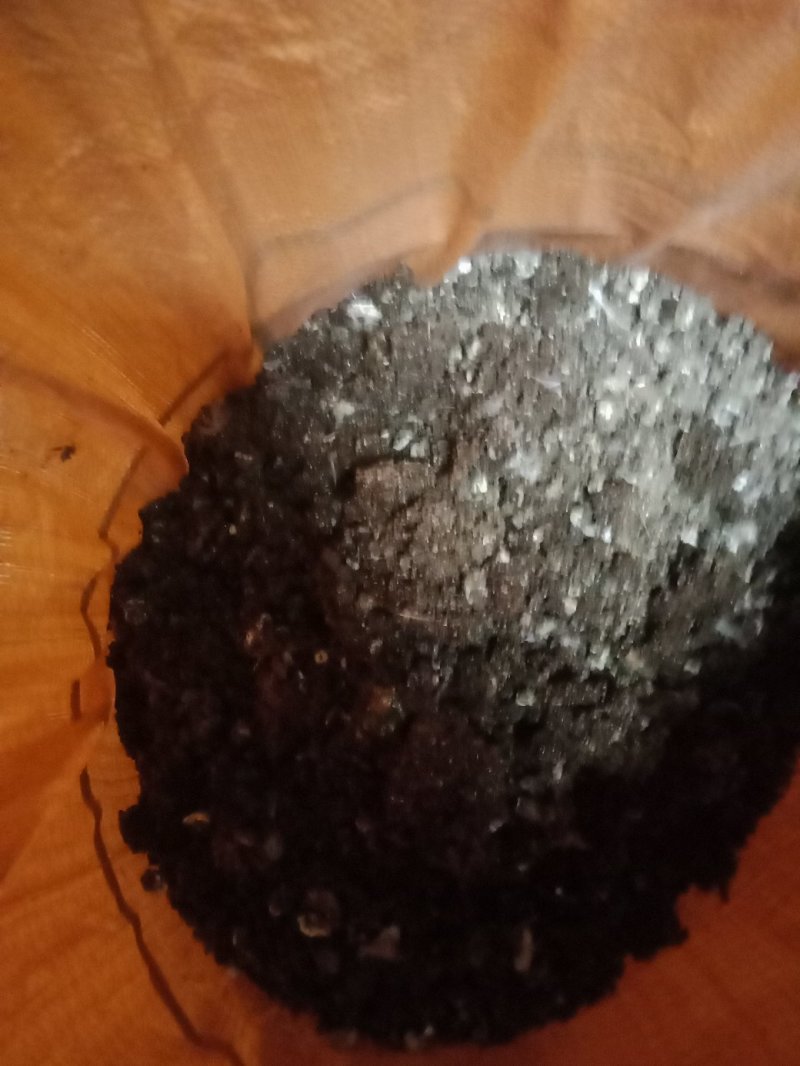 鹌鹑粪！常年有货！量大，实惠