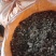 鹌鹑粪！常年有货！量大，实惠