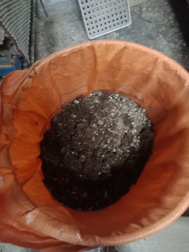 鹌鹑粪！常年有货！量大，实惠