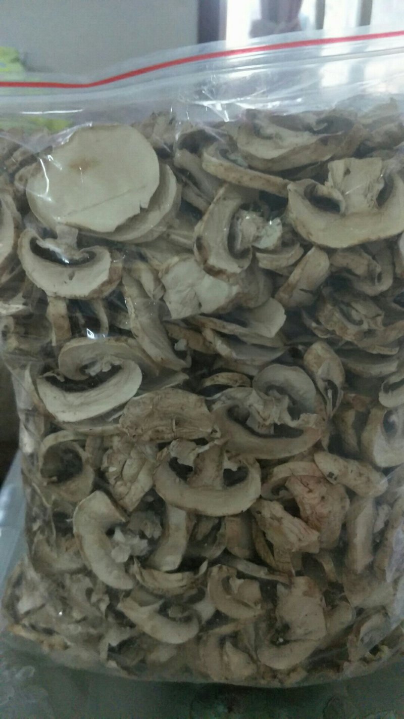 干品，双包菇，草菇，鸡腿菇等！
