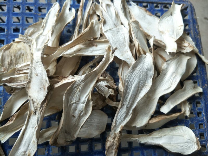 干品，双包菇，草菇，鸡腿菇等！