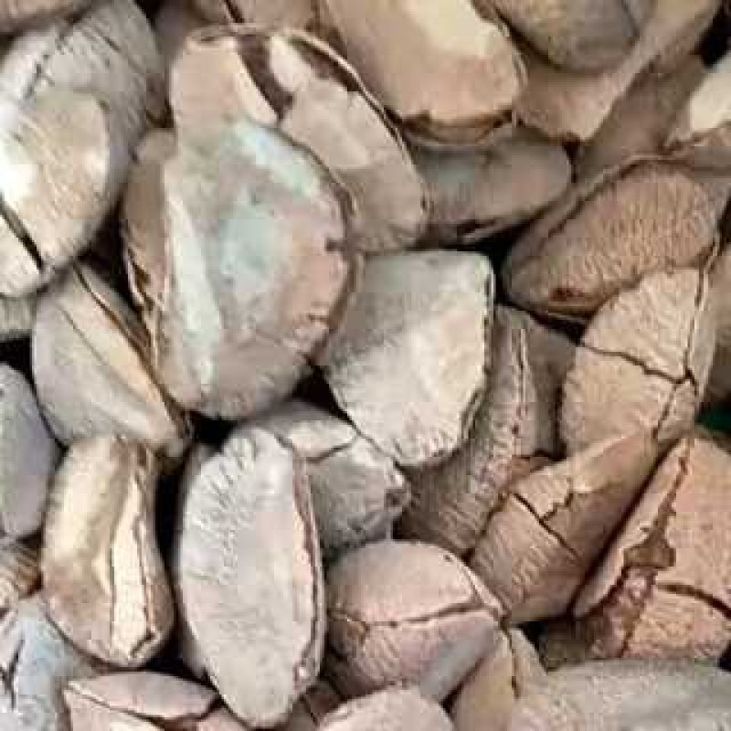 新疆特产鲍鱼果2斤起包邮