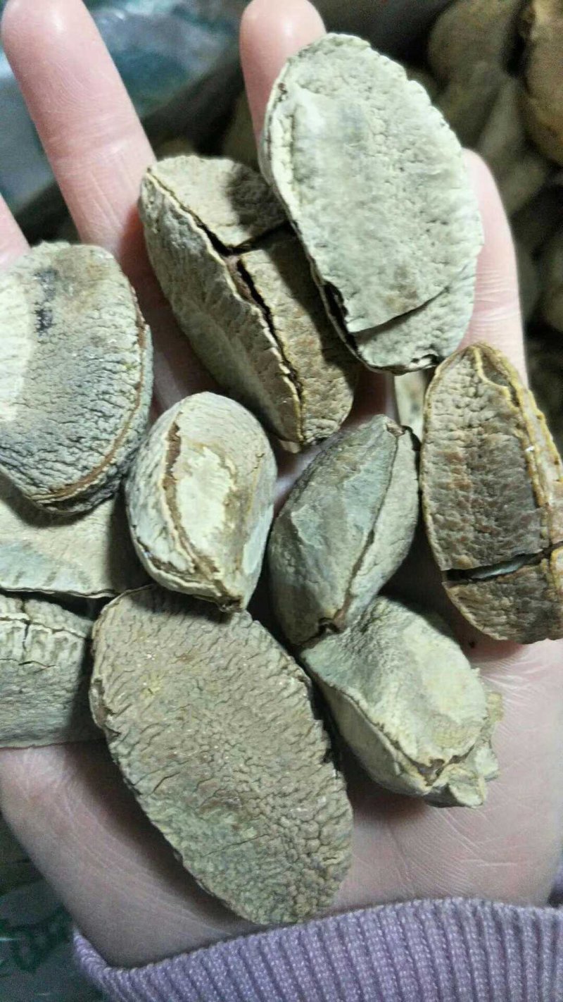 新疆特产鲍鱼果2斤起包邮