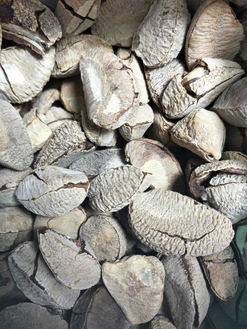 新疆特产鲍鱼果2斤起包邮