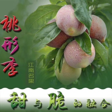 桃形李