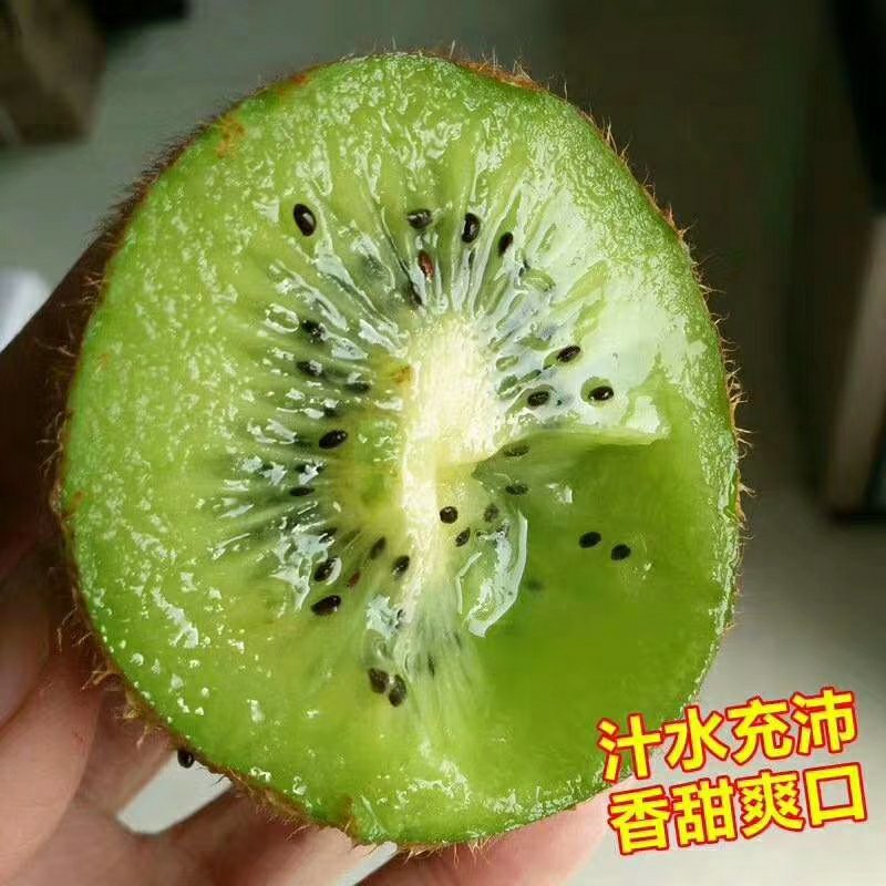 广州直发[强]智利绿猕猴桃💚💚含多钟维生素的水果