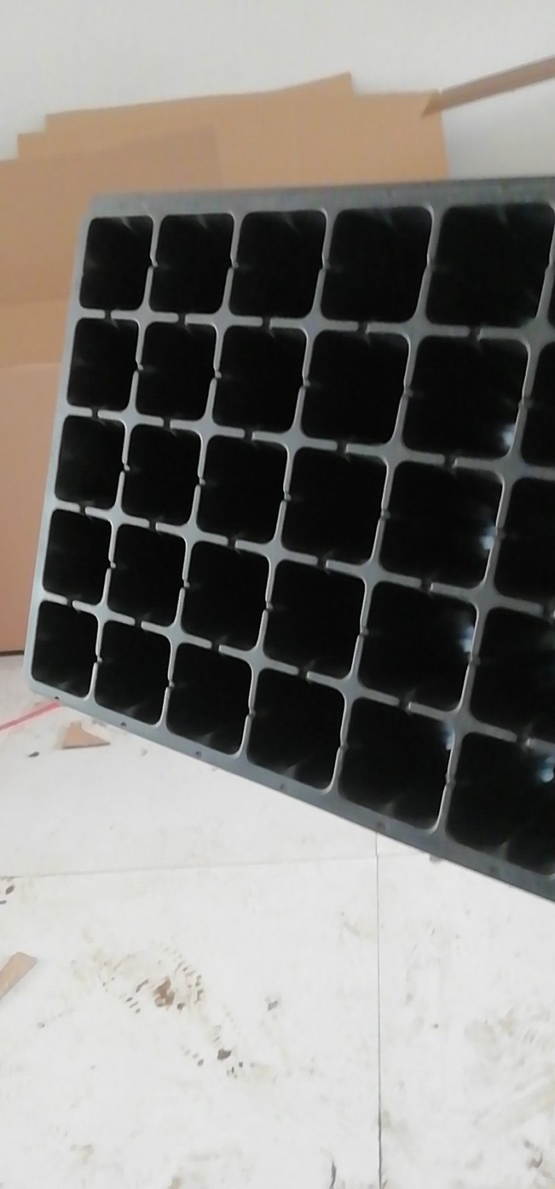 大量现货供应批发育苗盘穴盆育秧育苗扦插育苗种规格齐全