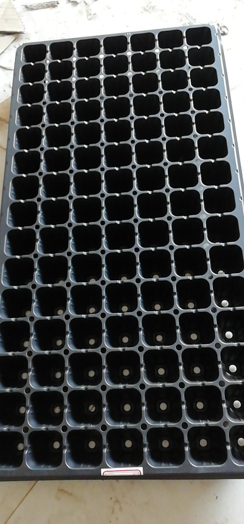 大量现货供应批发育苗盘穴盆育秧育苗扦插育苗种规格齐全
