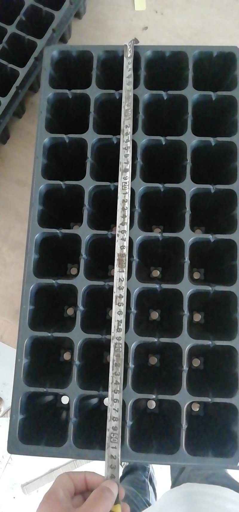 大量现货供应批发育苗盘穴盆育秧育苗扦插育苗种规格齐全