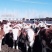 西门塔尔牛肉牛种牛200-600斤免费送牛上门检疫证明