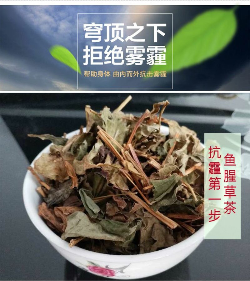 清凉特惠鱼腥草干新鲜鱼腥草茶折耳根秦岭鱼星草泡水2斤包邮
